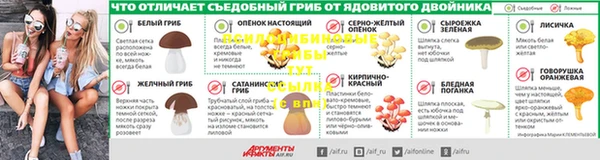 ГАЛЛЮЦИНОГЕННЫЕ ГРИБЫ Магадан