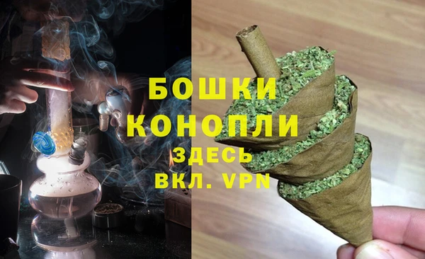 ГАЛЛЮЦИНОГЕННЫЕ ГРИБЫ Майский