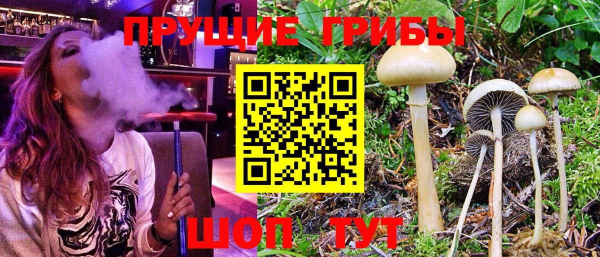 Димитровград  как найти наркотики  Галлюциногенные грибы мухоморы  Вход с VPN  Галлюциногенные грибы прущие грибы 
